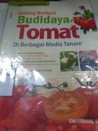 Untung Berlipat dengan Budidaya Tomat di Berbagai Media Tanam